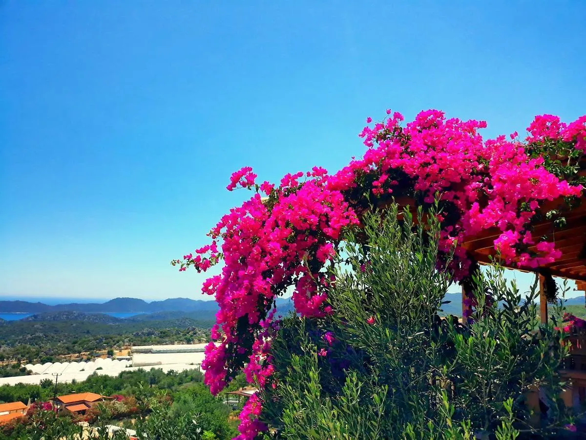 Istlada Taş Ev Apart - Kekova View Otel Kapaklı Konukevi