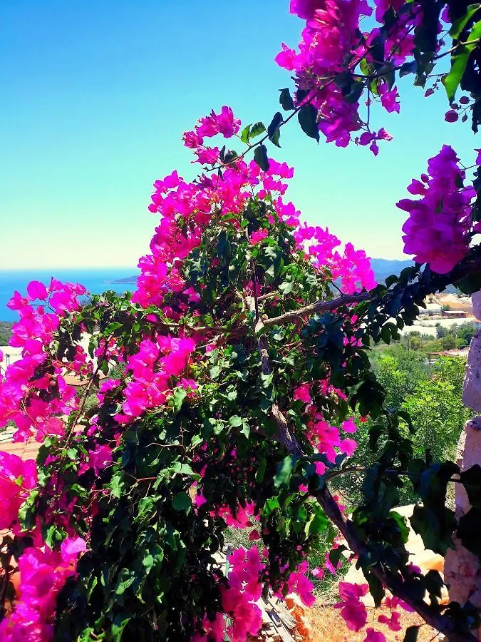 Guest house Istlada Tas Ev Apart - Kekova View Kapakli